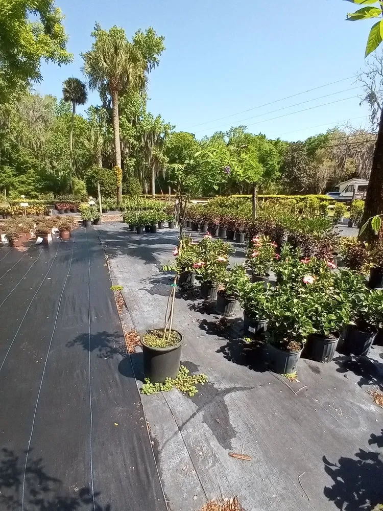 Custom outdoor landscaping in Jacksonville, FL - Hickory Creek Nursery