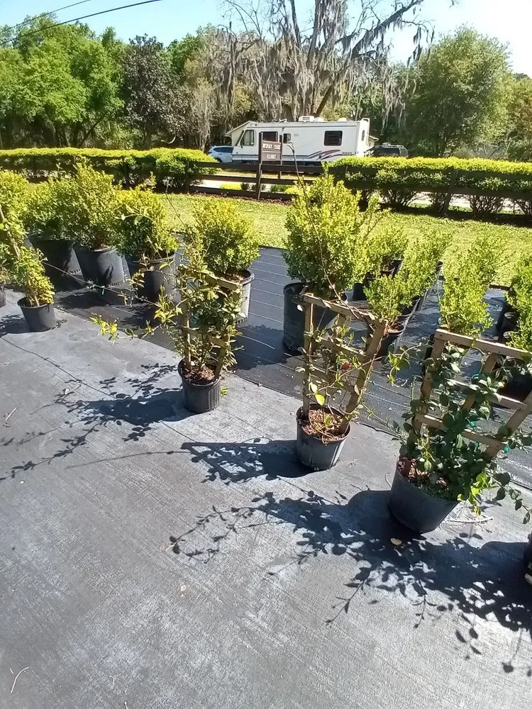 Local residential landscaping for beautiful yards across Jacksonville, FL - Hickory Creek Nursery