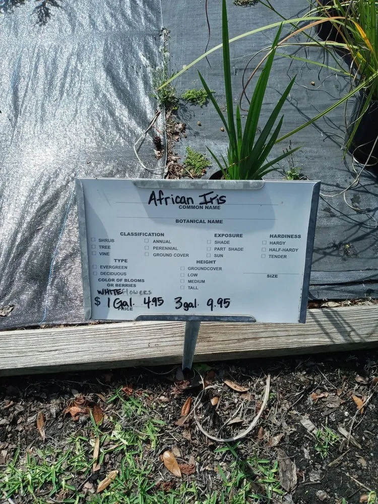 Professional outdoor landscaping in Jacksonville, FL - Hickory Creek Nursery