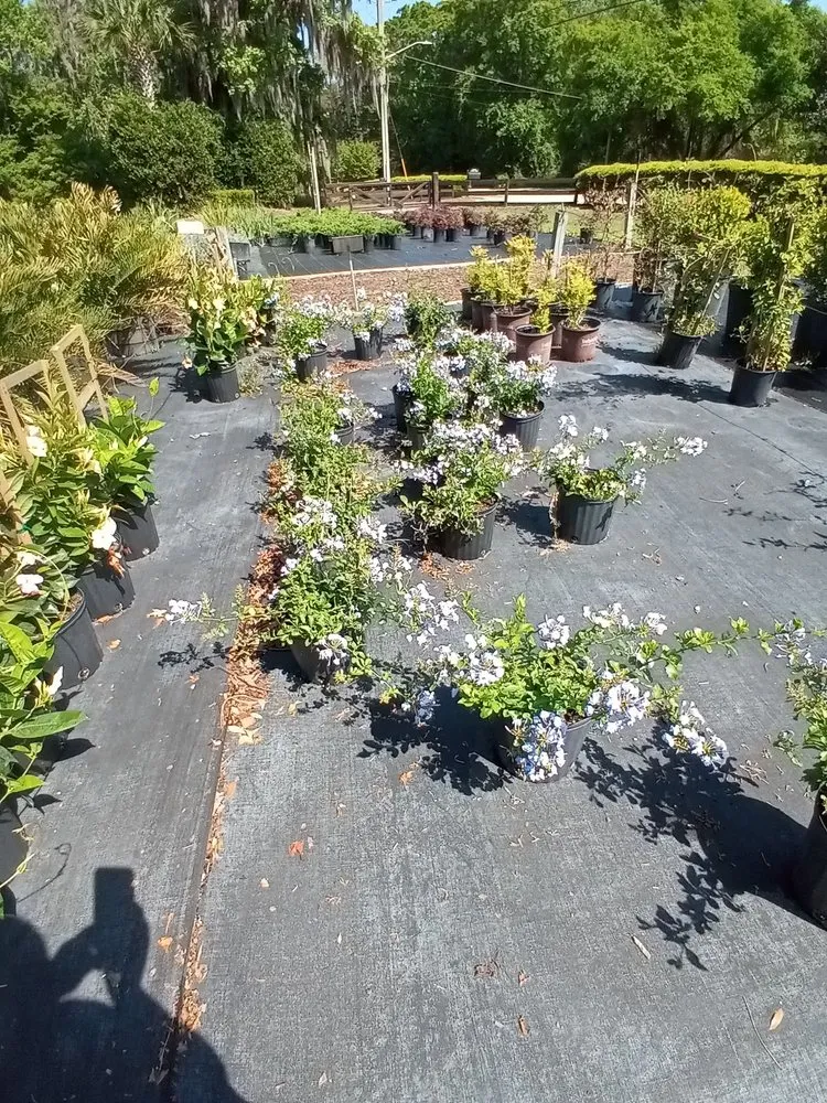 Custom residential landscaping for outdoor upgrades in Jacksonville, FL by Hickory Creek Nursery