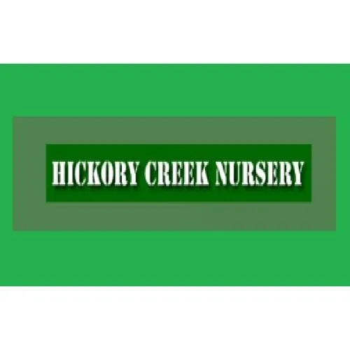 Top-rated residential landscaping in Jacksonville, FL by Hickory Creek Nursery
