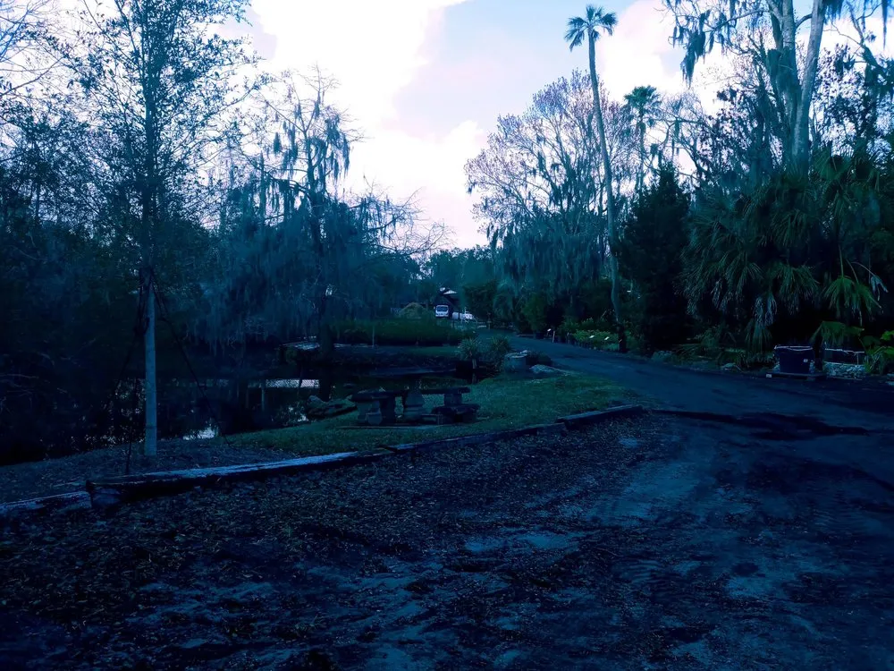 Professional residential landscaping for outdoor upgrades in Jacksonville, FL by Hickory Creek Nursery