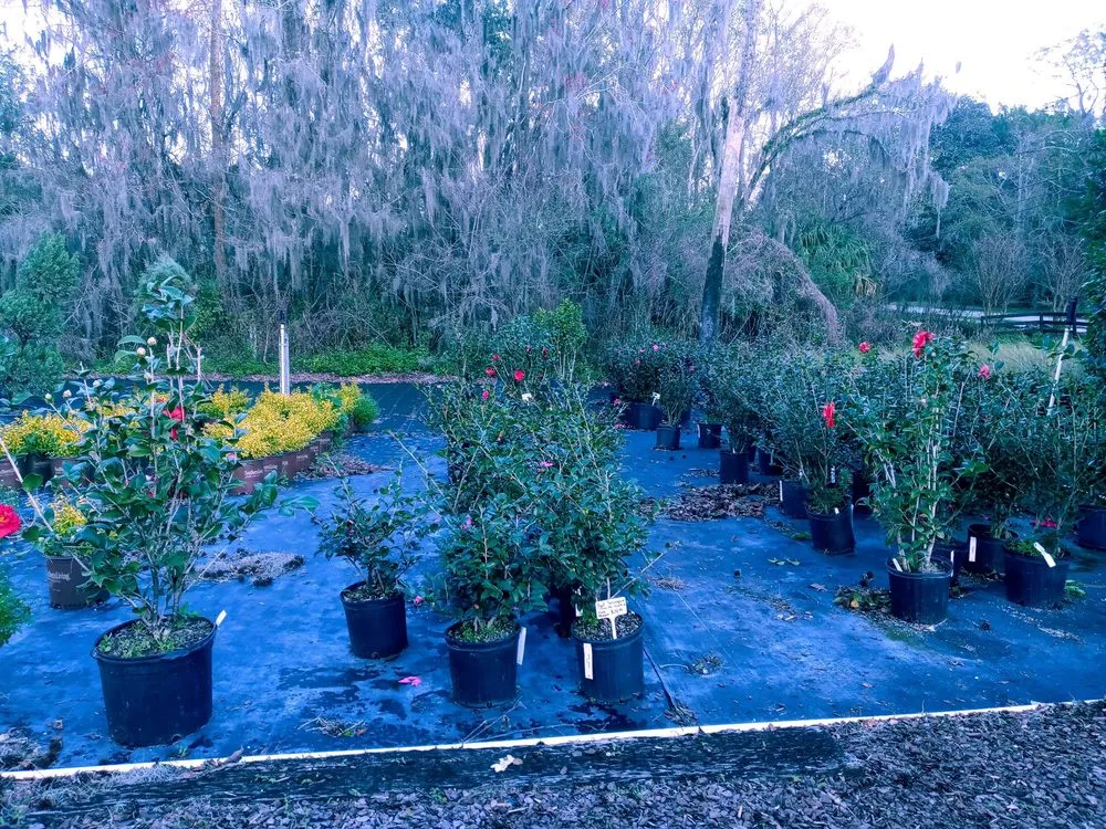 Trusted landscape installation with custom design across Jacksonville, FL - Hickory Creek Nursery