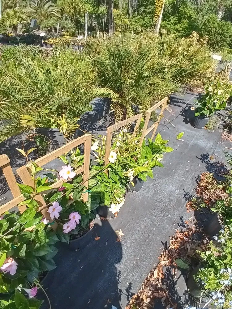 Top-rated lawn mowing service near you in Jacksonville, FL by Hickory Creek Nursery