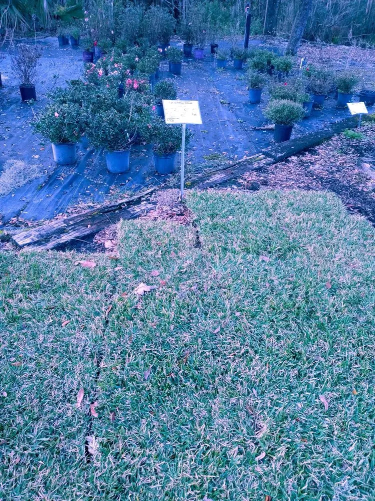 Professional garden landscaping experts serving Jacksonville, FL - Hickory Creek Nursery