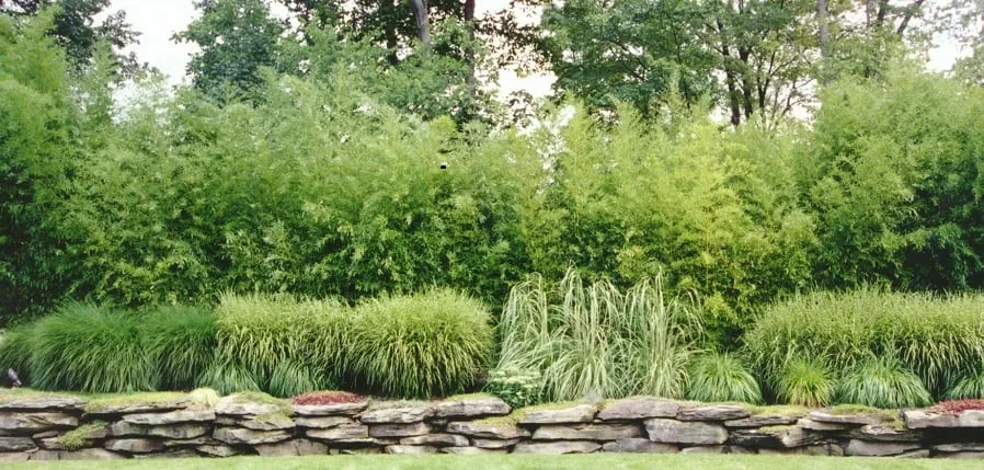 Professional lawn care service for homes across Tuxedo, NY - Hickory Hollow Landscapers Ltd.