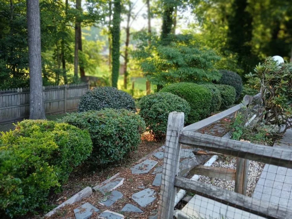 Custom yard cleanup service for outdoor upgrades across Conover, NC - Hickory Landscaping & Outdoor Design