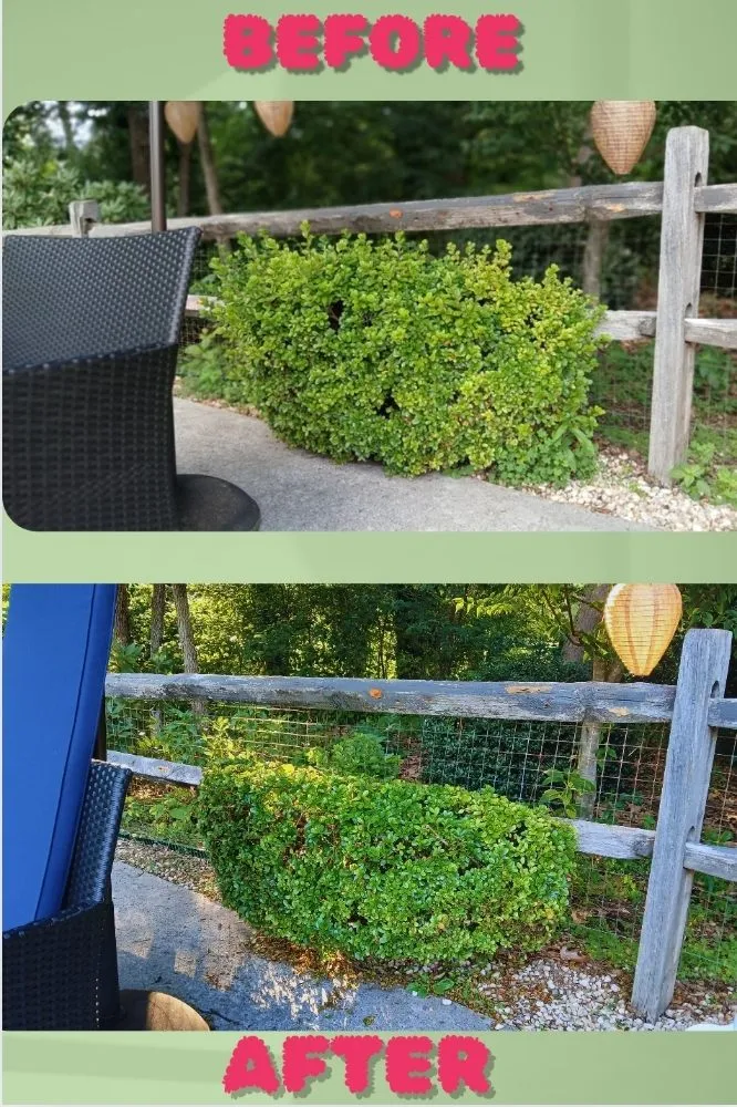 Affordable lawn care service in Conover, NC by Hickory Landscaping & Outdoor Design