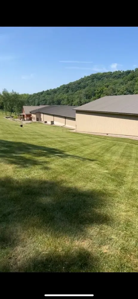 Expert yard cleanup service in Galesville, WI - Hickory Landscaping