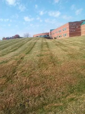 Professional lawn care service for beautiful yards in Franklin, KY by Hickory Lawncare & Landscaping