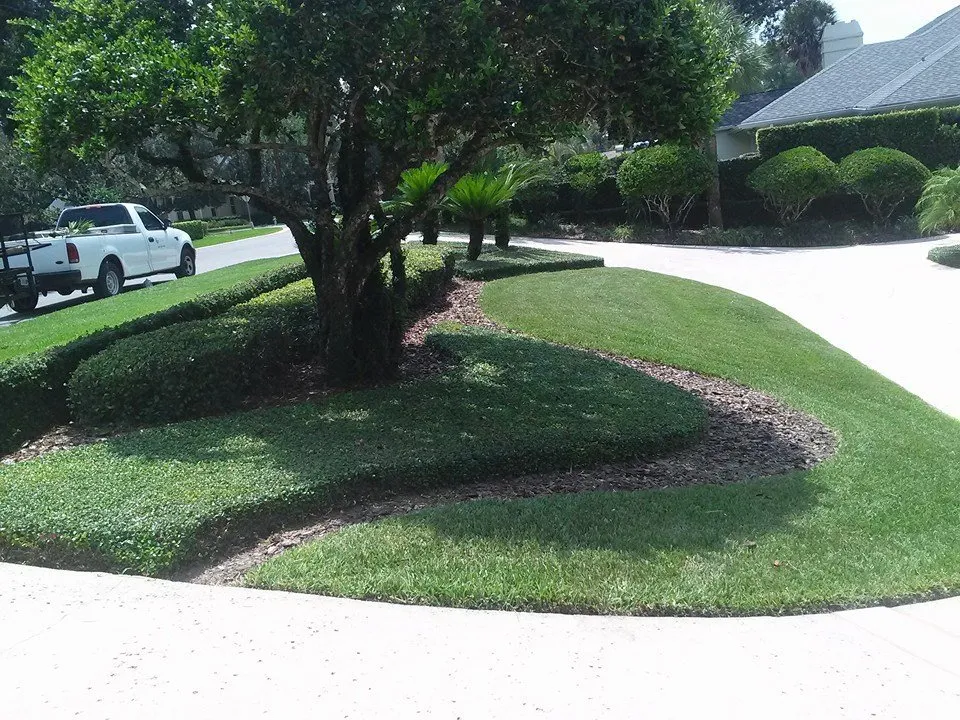 Top-rated yard cleanup service near you in Orlando, FL by Hicks & Hicks Lawn and Services