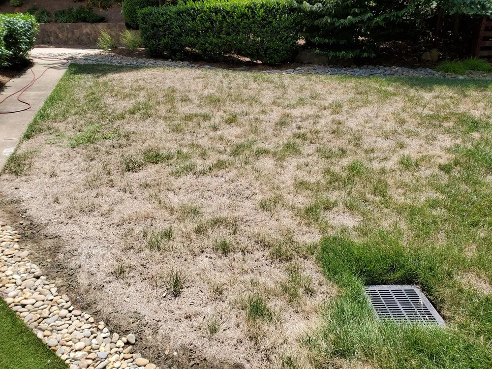 Top-rated yard maintenance experts serving Wendell, NC - Hicks Landscape Contractors Inc