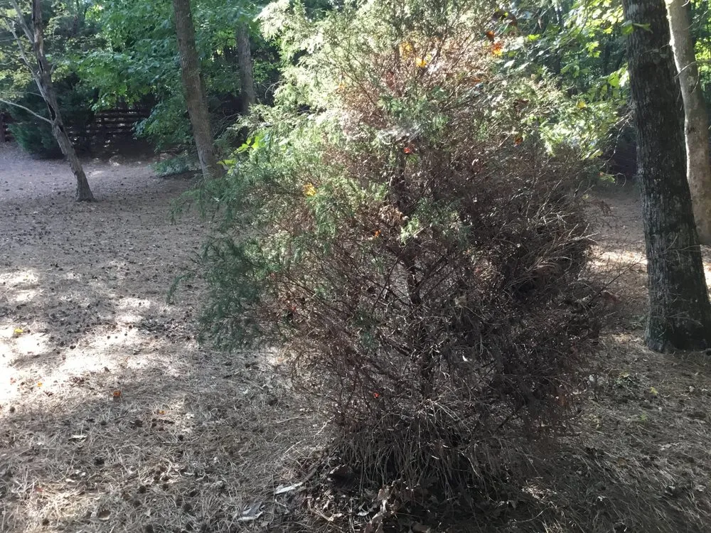 Local garden landscaping in Wendell, NC by Hicks Landscape Contractors Inc