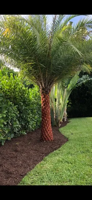 Professional outdoor landscaping for beautiful yards in West Palm, FL by Hicks Landscaping Inc