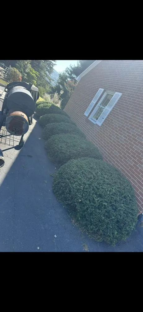 Expert landscape design in Afton, VA by Hicks Lawn Management