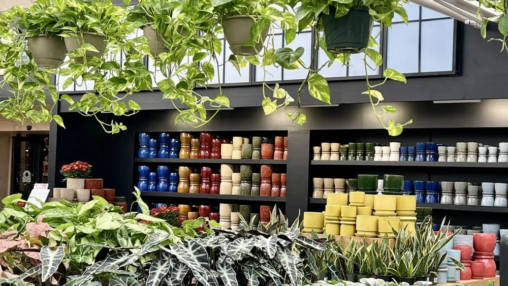 Professional landscape design in Westbury, NY - Hicks Nurseries