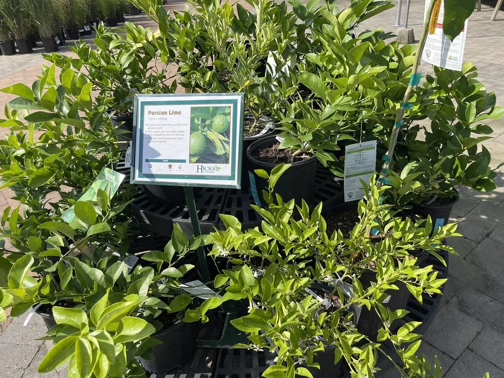 Top-rated yard maintenance near you in Westbury, NY by Hicks Nurseries