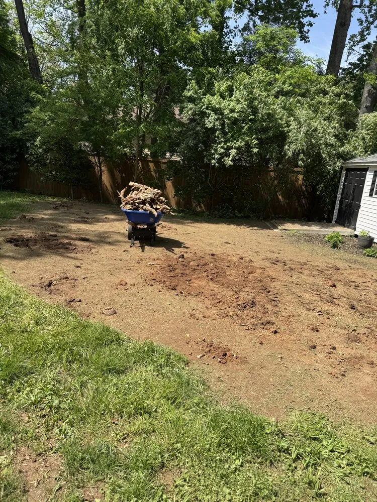 Custom residential landscaping for year-round maintenance across Gaithersburg, MD - Hidalgo Landscaping Services