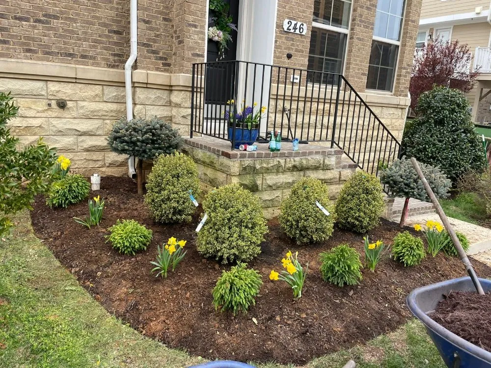 Affordable residential landscaping experts serving Gaithersburg, MD - Hidalgo Landscaping Services