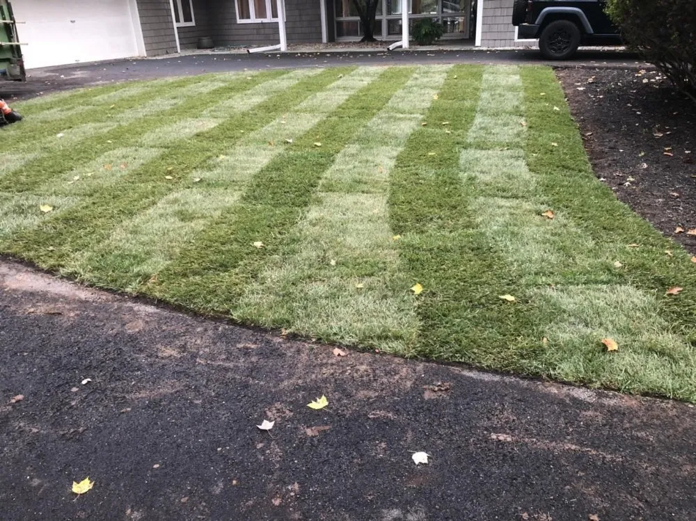 Custom landscape design for year-round maintenance across Gaithersburg, MD - Hidalgo Landscaping Services