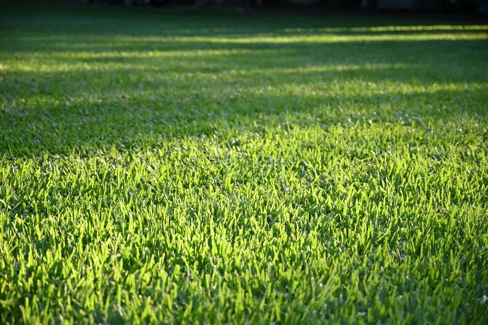 Custom garden landscaping near you across McAllen, TX - Hidalgo Lawn Care