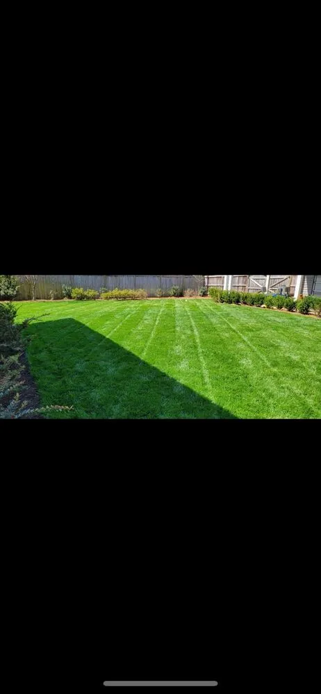 Reliable yard cleanup service for beautiful yards across Greenville, SC - Hidden Beauty Landscaping