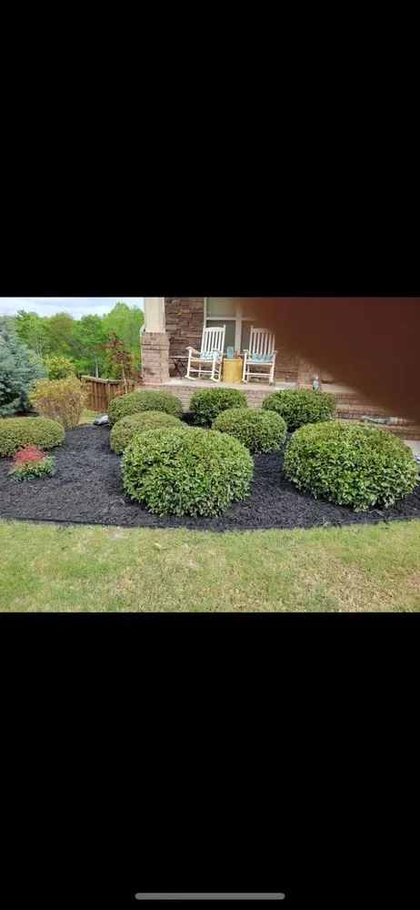Expert landscape installation experts serving Greenville, SC - Hidden Beauty Landscaping