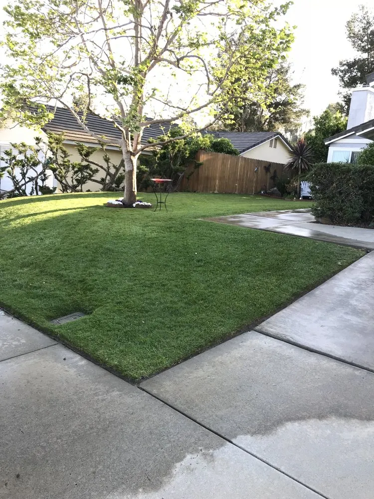 Affordable residential landscaping in Escondido, CA - Hidden City Landscape