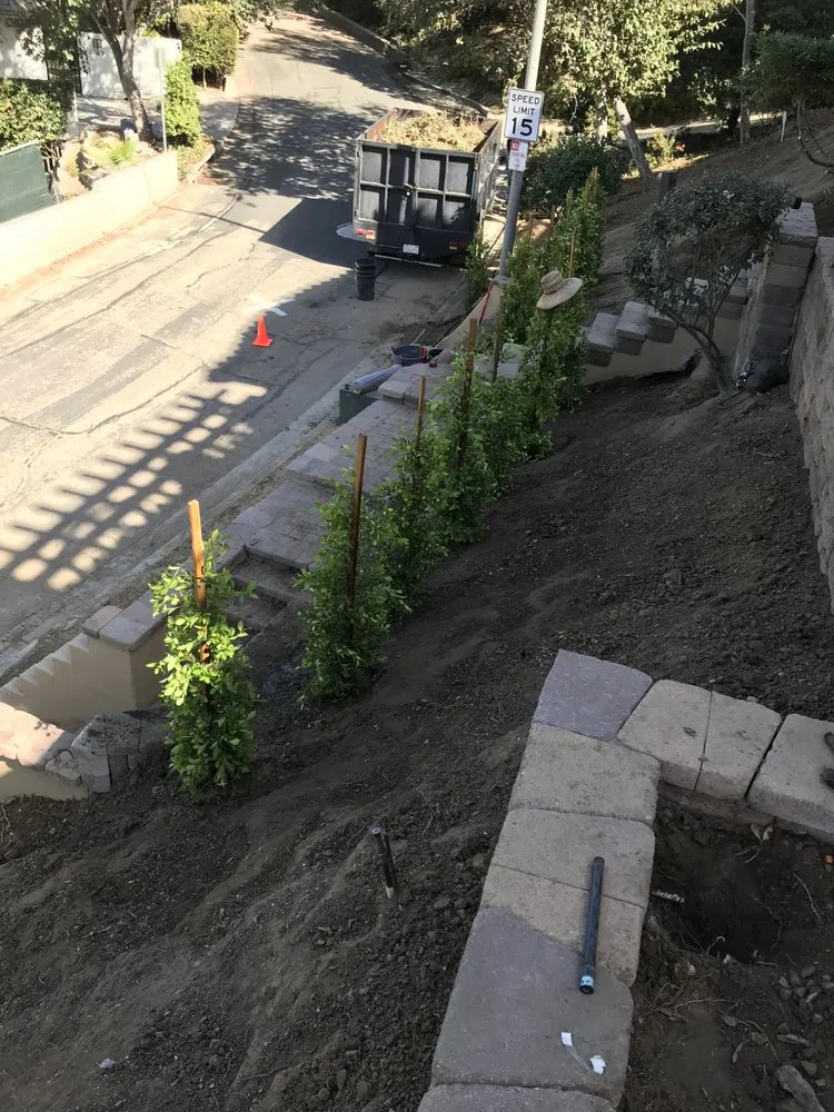 Affordable yard cleanup service for outdoor upgrades in Escondido, CA by Hidden City Landscape