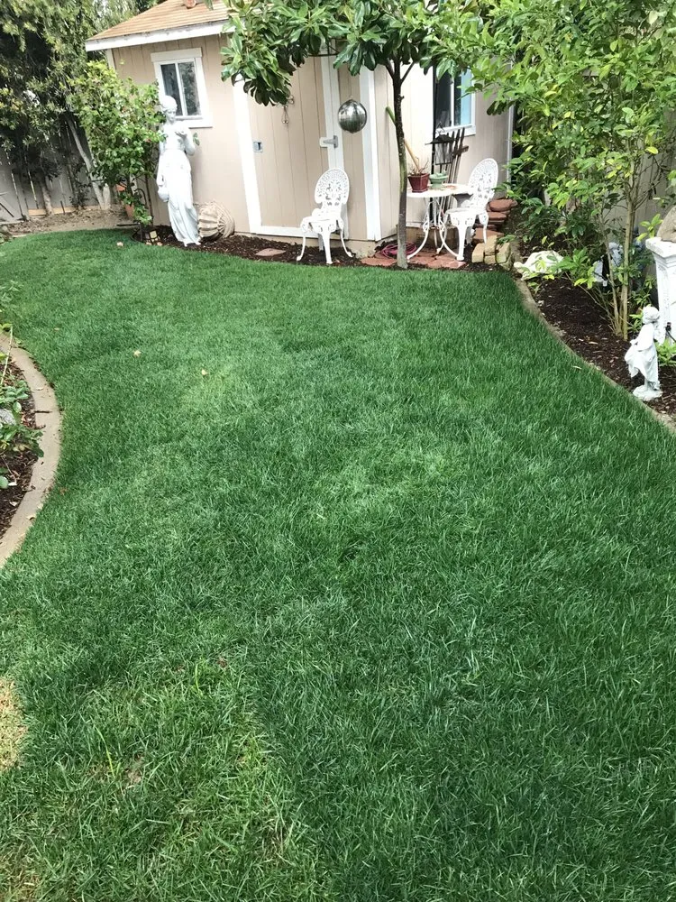 Affordable garden landscaping experts serving Escondido, CA - Hidden City Landscape
