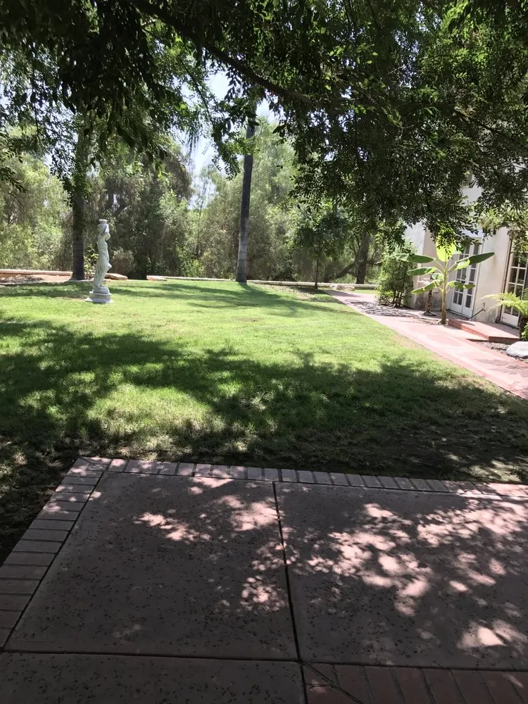 Professional yard cleanup service for residential properties in Escondido, CA by Hidden City Landscape