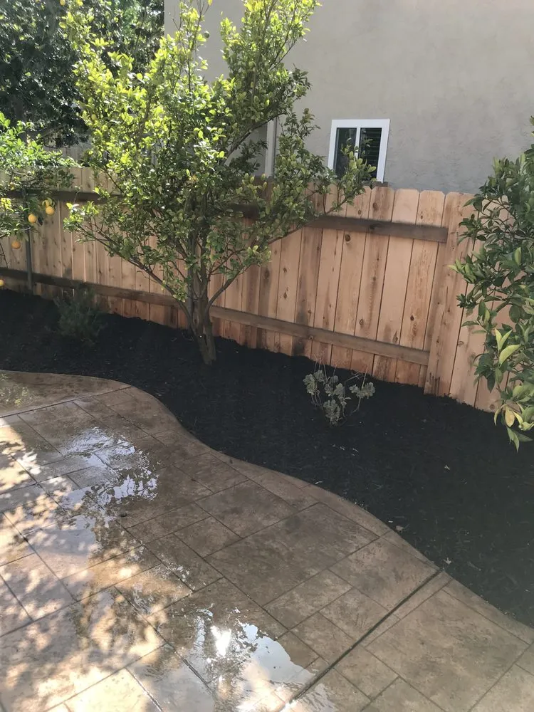 Top-rated yard cleanup service in Escondido, CA by Hidden City Landscape