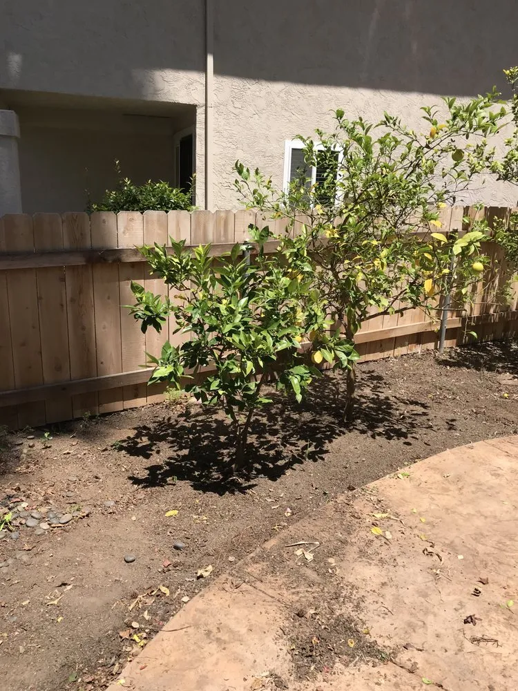 Top-rated outdoor landscaping for year-round maintenance in Escondido, CA by Hidden City Landscape