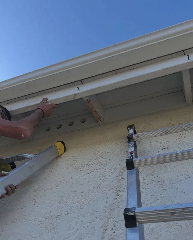 Trusted lawn care service in Ramona, CA by Hidden Gardens