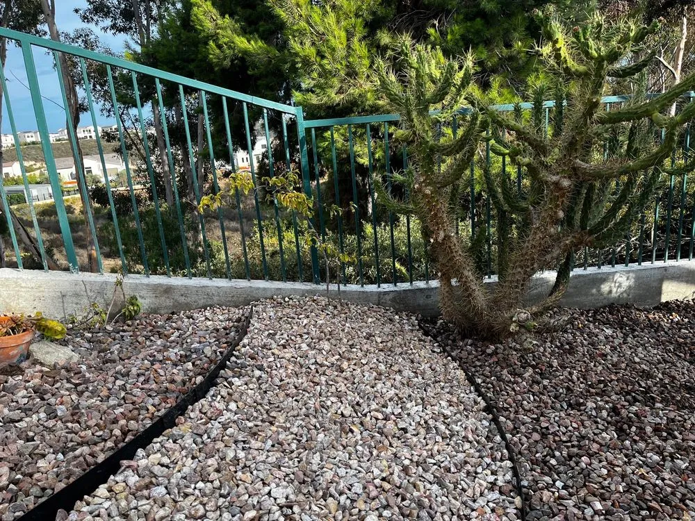 Professional landscaping services experts serving Ramona, CA - Hidden Gardens