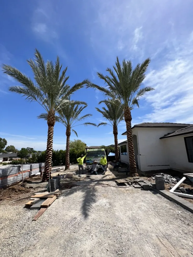 Affordable lawn care service for year-round maintenance across Paramount, CA - Hidden Gem Landscaping