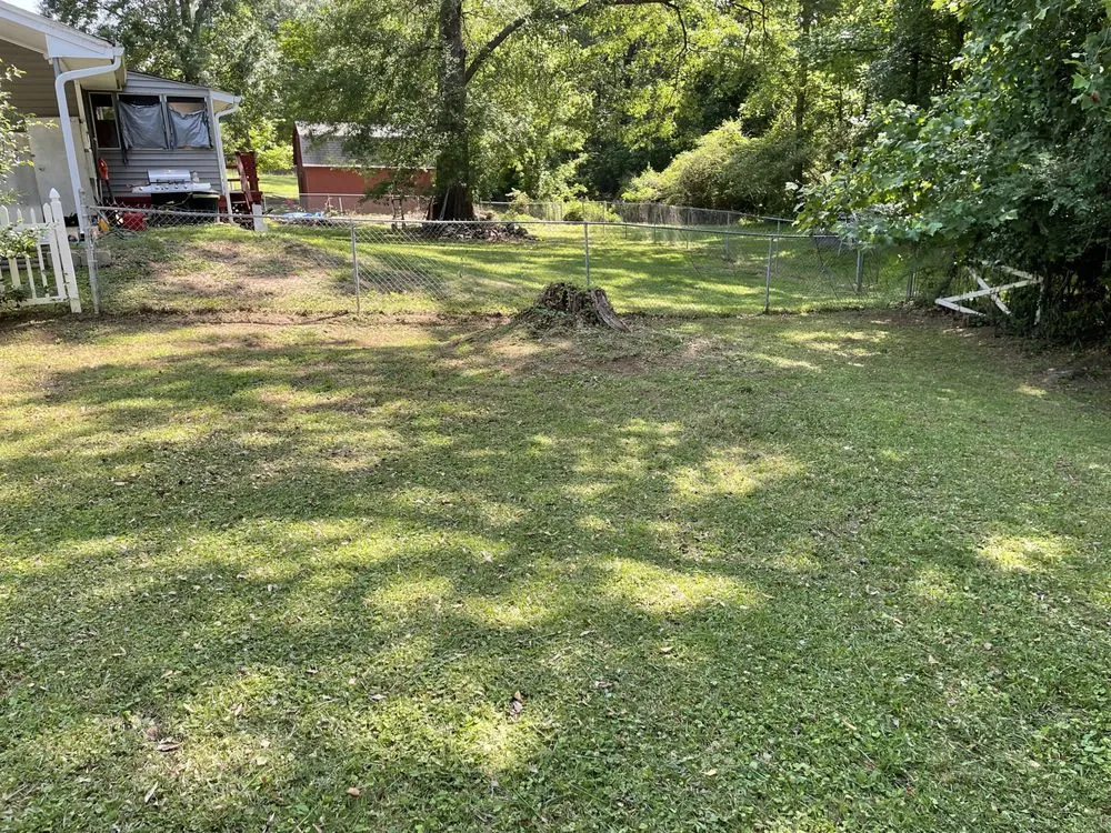 Reliable lawn care service for homes across Morrow, GA - Hidden Green Leaves