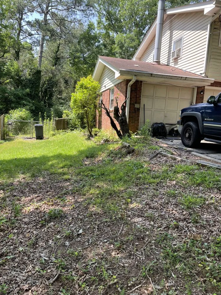 Reliable yard cleanup service in Morrow, GA by Hidden Green Leaves
