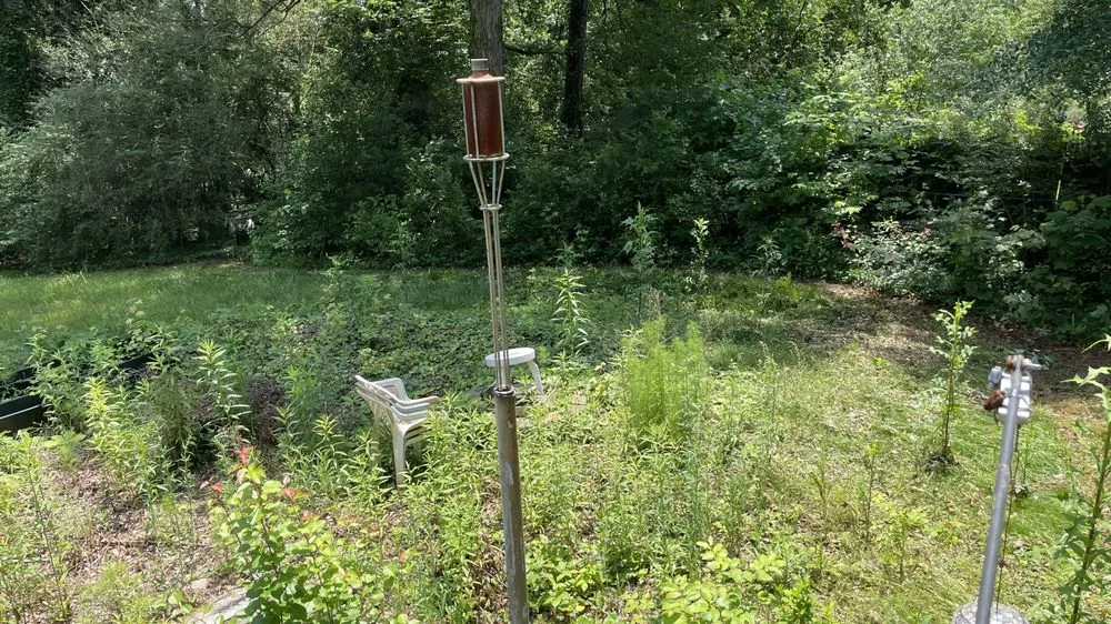 Trusted residential landscaping in Morrow, GA - Hidden Green Leaves