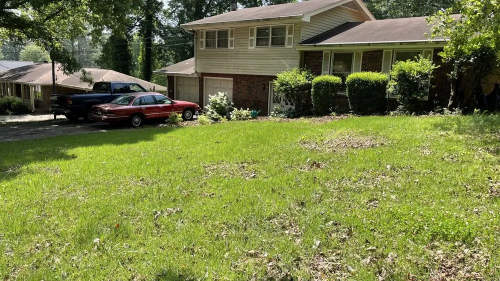 Local residential landscaping in Morrow, GA - Hidden Green Leaves
