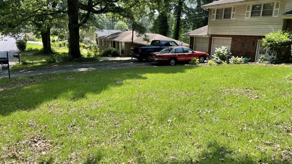 Professional yard cleanup service experts serving Morrow, GA - Hidden Green Leaves