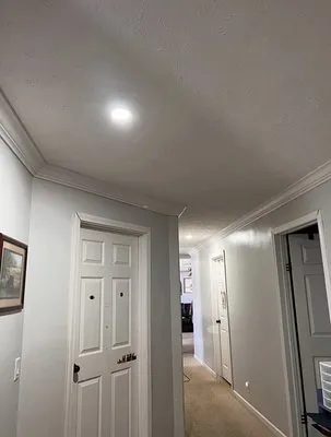 Hidden Green Leaves Logo