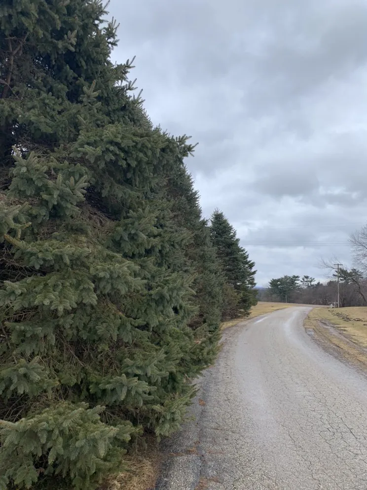 Trusted yard cleanup service for homes in Mindoro, WI by Hidden Haven Outdoor Design