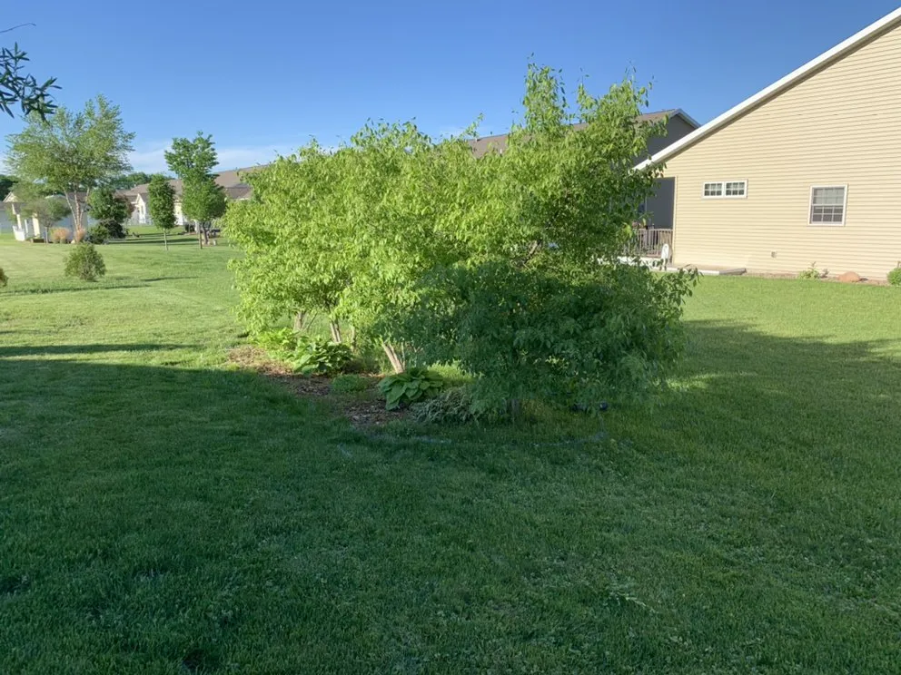 Top-rated landscaping services near you across Mindoro, WI - Hidden Haven Outdoor Design