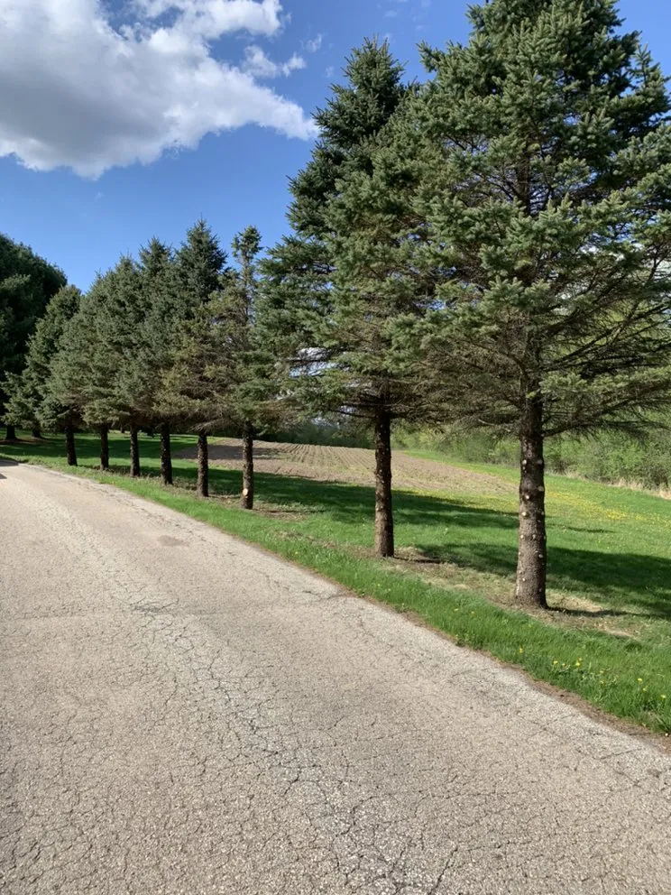 Trusted landscaping services experts serving Mindoro, WI - Hidden Haven Outdoor Design