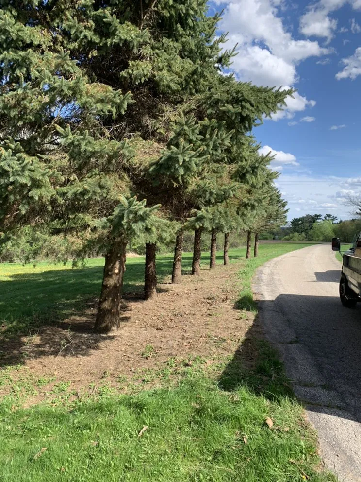 Top-rated garden landscaping for outdoor upgrades across Mindoro, WI - Hidden Haven Outdoor Design
