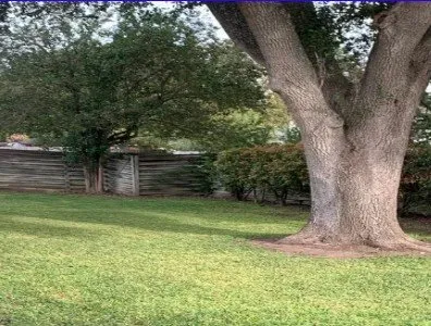 Trusted yard maintenance in McQueeney, TX - Hidden Lake Services