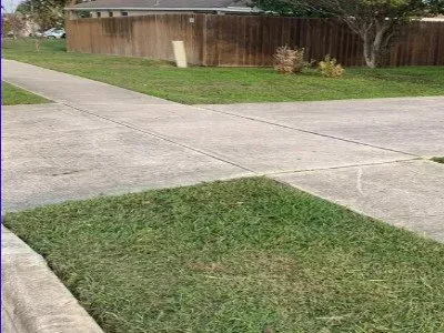 Local yard cleanup service in McQueeney, TX - Hidden Lake Services