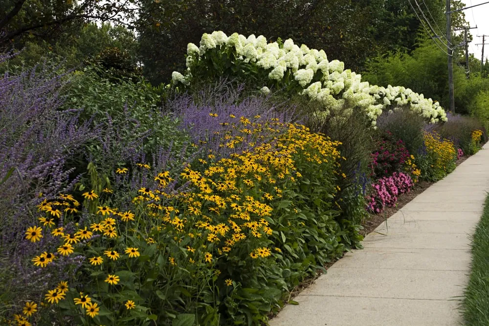 Top-rated landscaping services for beautiful yards across Herndon, VA - Hidden Lane