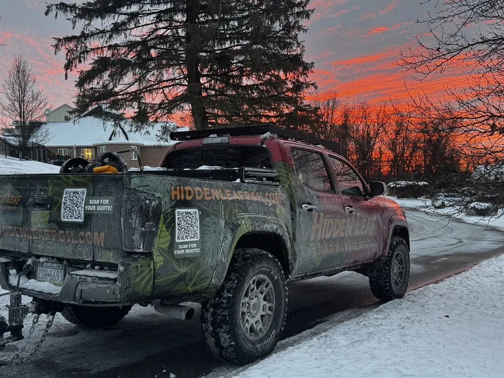 Professional yard cleanup service for outdoor upgrades across Elizabeth, PA - Hidden Leaf Land Management